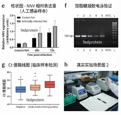 文章插图