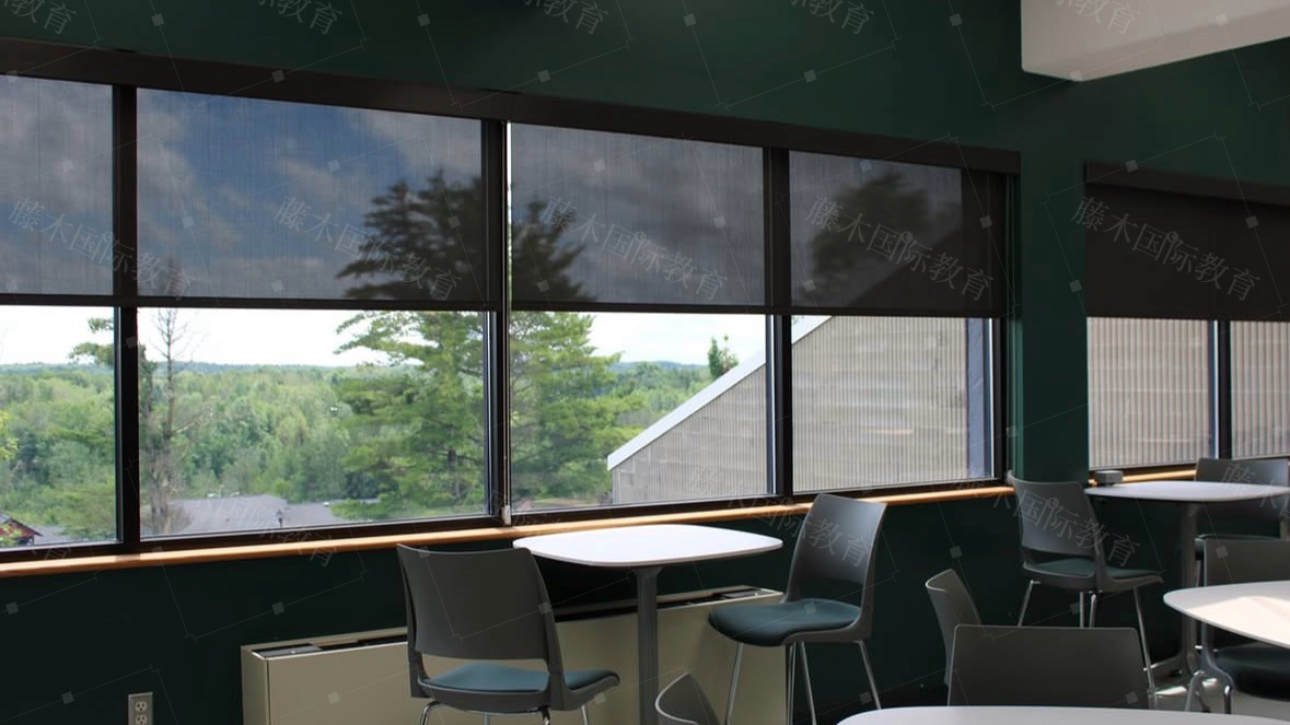 行业内热门的藤木教育本科留学企业找哪家